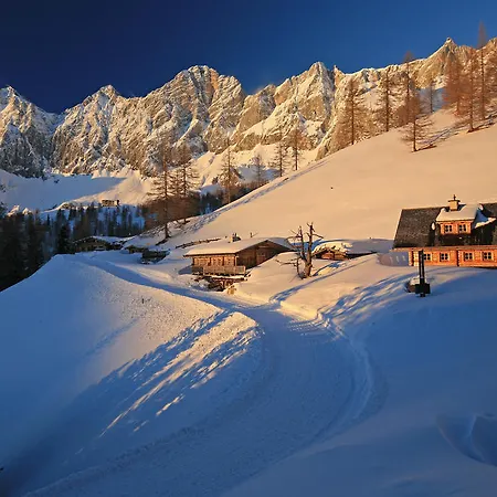 Linharterhof مزرعة للإقامة *