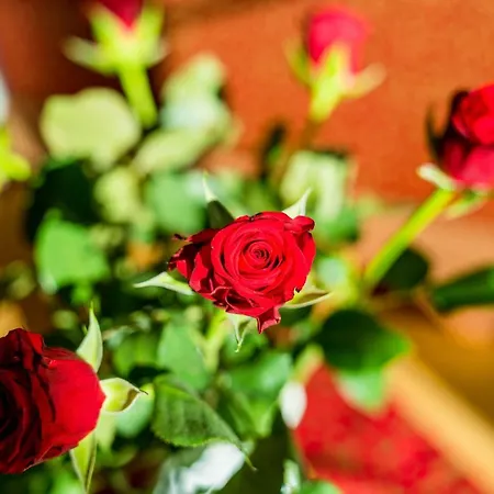 مزرعة للإقامة Linharterhof هاوس إم إنيستال