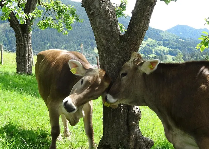 Linharterhof * Haus im Ennstal