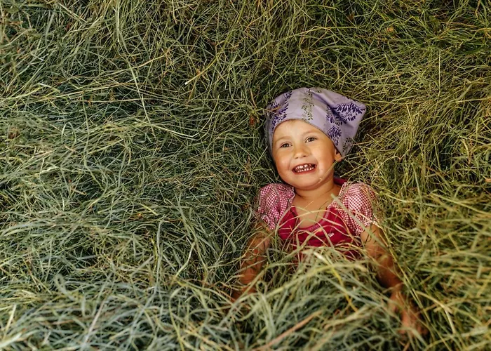 Vakantieboerderij Linharterhof Haus im Ennstal