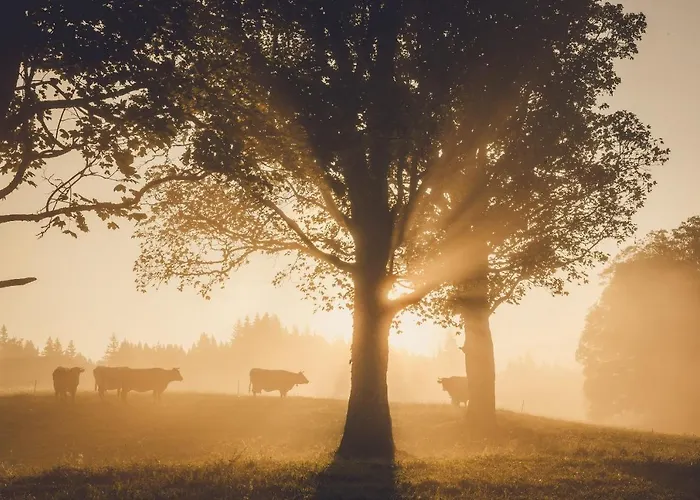 Linharterhof Vakantieboerderij